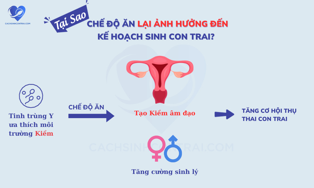 Chế độ ăn là 1 trong những yếu tố quan trọng quyết định việc sinh bé trai thành công