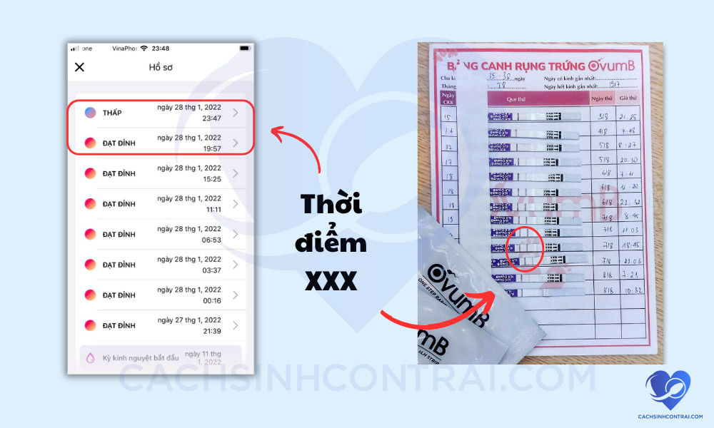 Thời điểm quan hệ sinh con trai